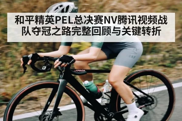 和平精英PEL总决赛NV腾讯视频战队夺冠之路完整回顾与关键转折